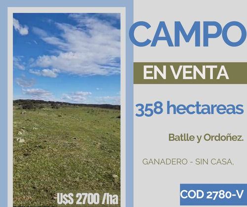 Campo De 358 Hectáreas / 2700 La Hectárea