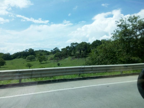 Venta Rancho 140 Has Autopista Tuxpan-poza Rica Veracruz Mexico