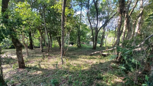 Imagen 5 de 17 de Vendo 4 Lotes Con Arroyo