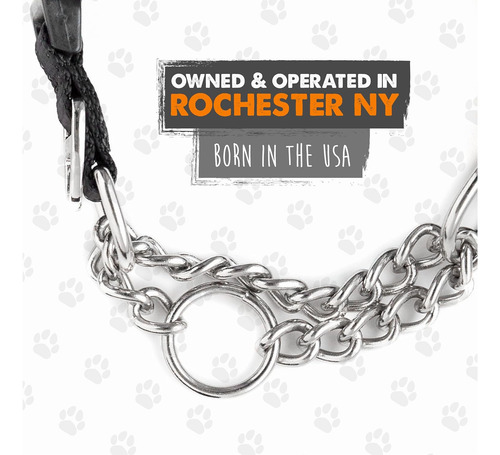 Mighty Paw Martingale Collar De Perro 2.0 | Trainer Appro...