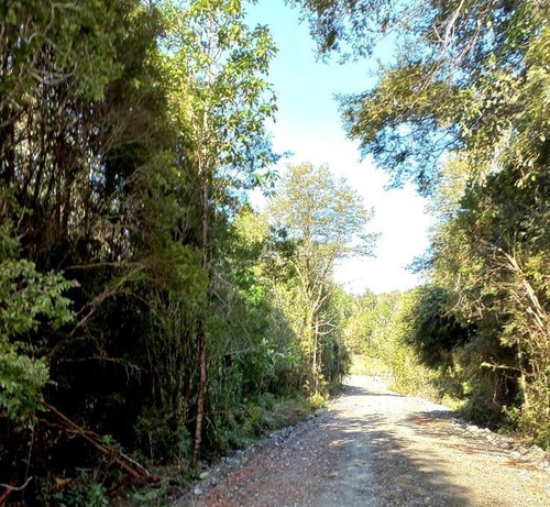 Imagen 5 de 23 de Agrícola En Venta En Puerto Montt