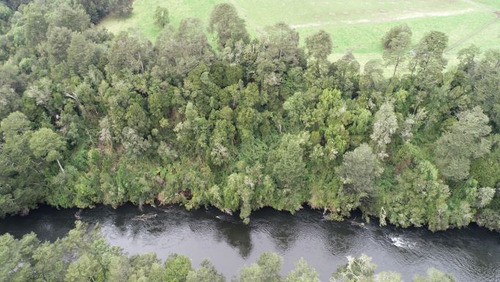 Precioso Terreno A Orillas Del Río Maullín