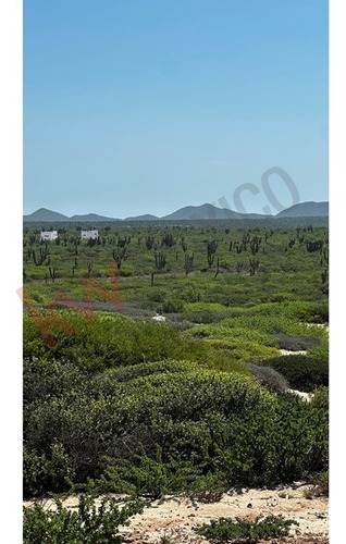 Terreno De Gran Inversión En Bahia Turquesa