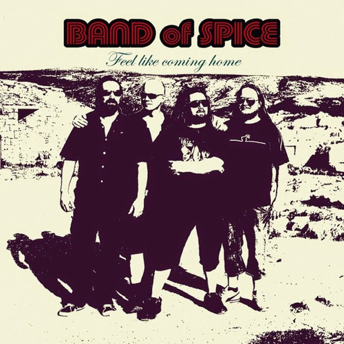 Band Of Spice  Feel Like Coming Home. Importado