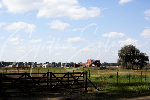 Imagen 9 de 12 de Venta Lote De Chacras De San Andres Carlos Keen