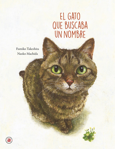 El Gato Que Buscaba Un Nombre - Fumiko Takeshita Naoko Machi