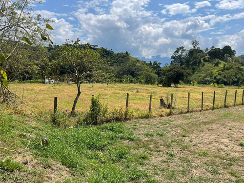 Imagen 30 de 30 de Espectacular Finca Clima Caliente En Venta Porce