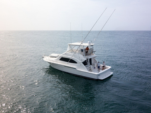 Bertram 51