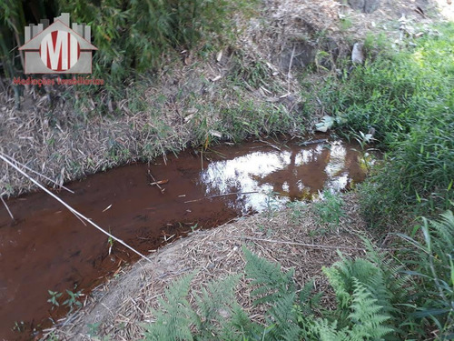 Chácara Arborizada Com Riacho, Ótimo Bairro, 02 Dormitórios À Venda, 2000 M² Por R$ 280.000 - Pedra Bela/sp - Ch0046