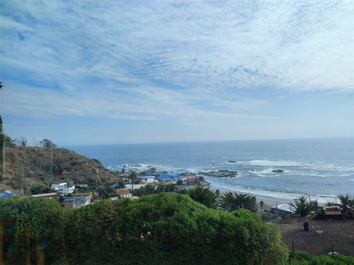 Exquisito Vista Y Ubicación- Maitencillo