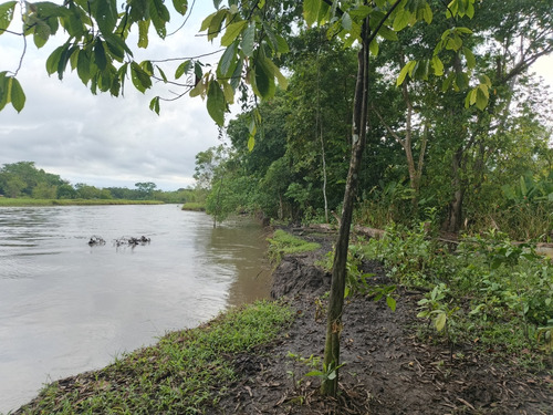 Finca Cienaga Del Opon