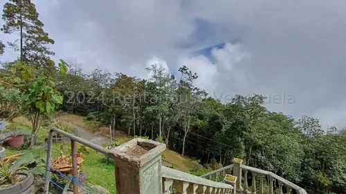 Venta De Negocios Y Empresas \ El Junquito Mg 4-20005