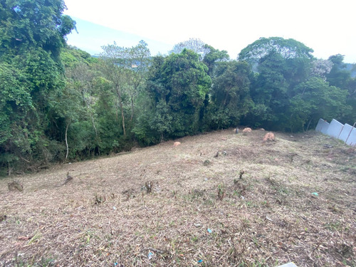 Terreno (lote) Condomínio Parque Suiça - Serra Da Cantareira