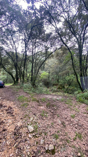 Imagen 4 de 10 de Venta Terreno Real Del Monte Hidalgo Ideal Para Cabañas