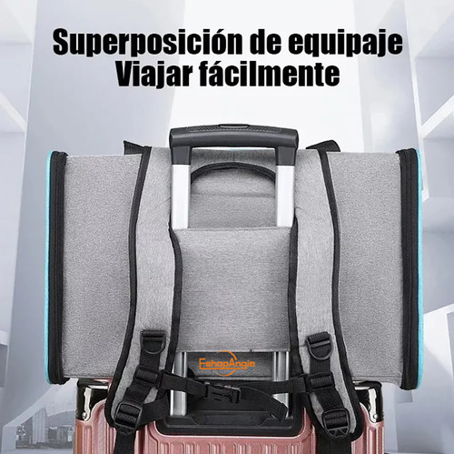 Bolso Transportador Para Mascota Viaje Mochila Transpirable Eshopangie