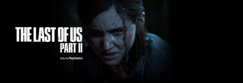 The Last Of Us Part Ii Collectors Edition - Ps4 (Usado)