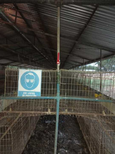 Imagen 14 de 17 de Finca De 12 Hectareas De Gallinas Ponedoras En Villa De Cura