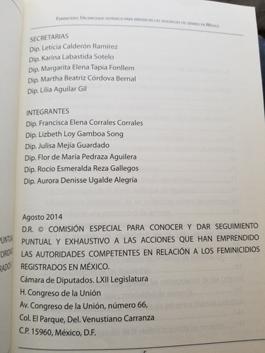 A0 Feminicidio Un Enfoque Sistémico, Camara De Diputados (Usado)