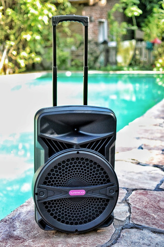 Parlante 15 Portatil Bateria Recargable Bluetooth Potencia 8000w 100rms + Microfono Inalambrico Usb C. Remoto + Sonido