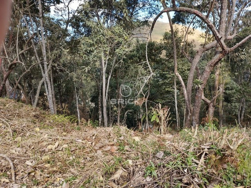 Imagem 2 de 22 de Terreno Em Condomínio Em Vargem Grande - Te00347 - 68717788