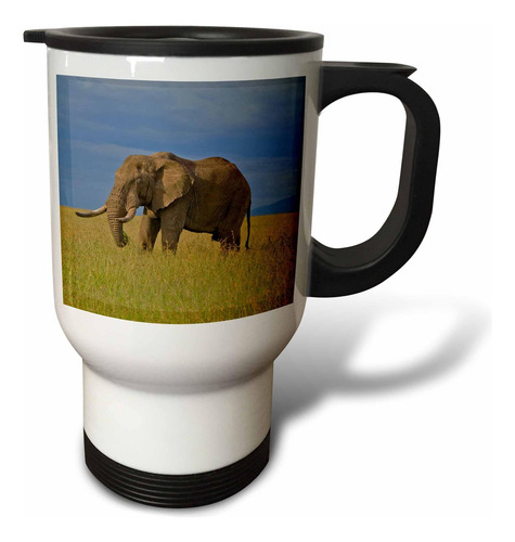 Proyecto De Ley Maasai Mara Del Parque Nacional Elefante Af2