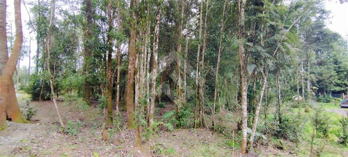Casa De Diseño Único - 5d 4b - 500mt2 - Puerto Varas