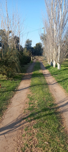 Cabaña La Corona, San Miguel Del Monte