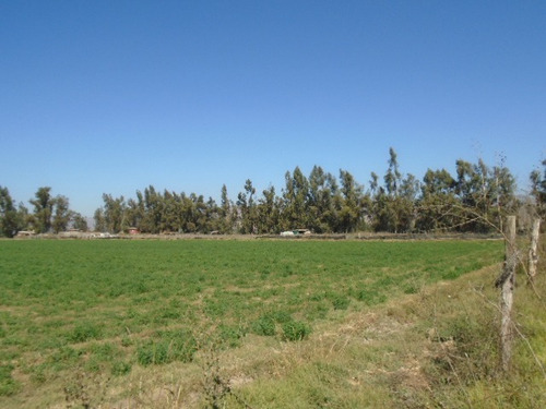 Se Vende Paño 17 Has. Totalmente Plano En Camino El Toro