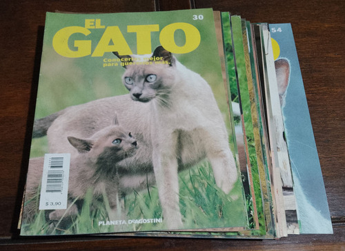Revista El Gato Editorial Deagostini (Usado)