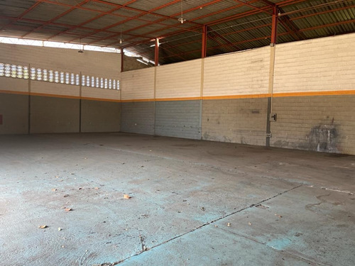 Imagen 8 de 14 de Johanna Castillo Alquila Galpon Castillito 1200 Mts