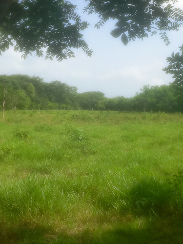 Terrenos En Monte Plata Para Finquita