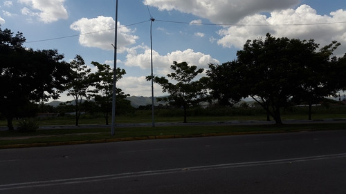 Imagen 6 de 6 de En Venta Terreno En Paraparal