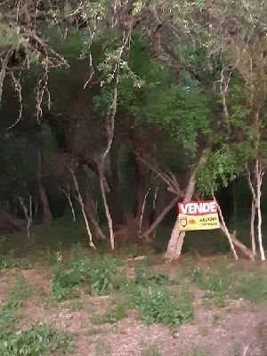Imagen 7 de 8 de Loteo El Campito En El Centro De Colonia Benitez!