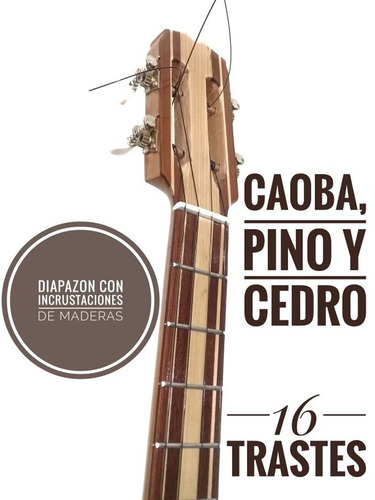 Cuatro Venezolano Profesional De Concierto 16 Trastes Forro