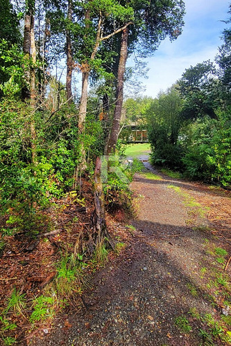 Cabaña En Parcela Con Hermoso Bosque Nativo En Puerto Varas