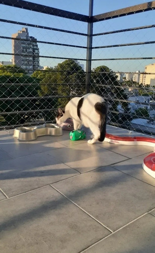 Imagen 2 de 5 de Guarderia Y Pensionado De Gatos Y Perros Garritasdemontecast