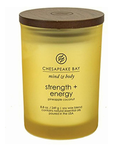 Chesapeake Bay Candle Mind & Body Medium Scented Candle