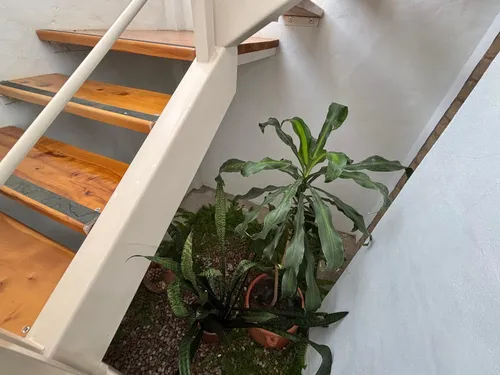 Casa Campestre En La Mesa De Los Santos