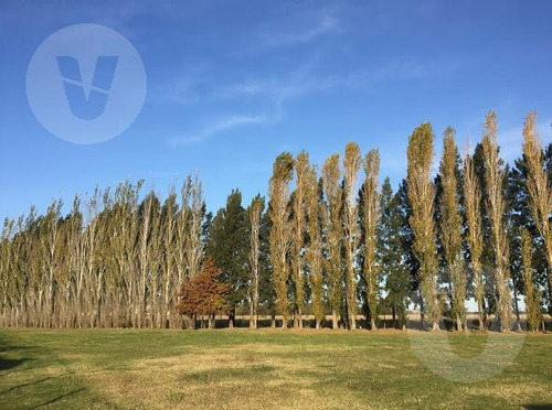 Imagen 5 de 10 de Casa En Barrio Santa Ines | Entrega Octubre 2021