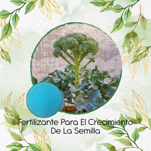 Fertilizante Para El Crecimiento De Brócoli