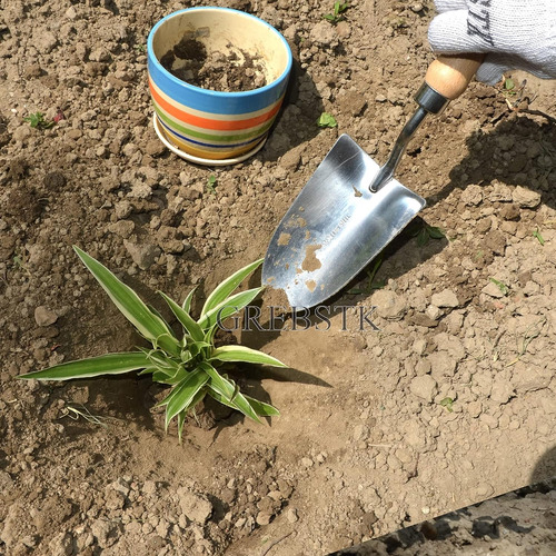 Pala De Jardín De Acero Inoxidable Con Mango De Madera De Ha