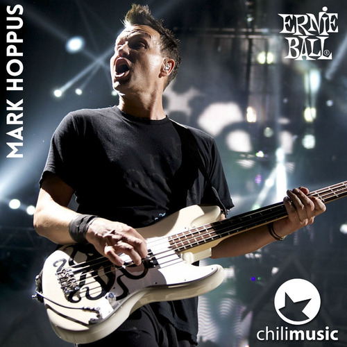 Ernie Ball Correa Para Guitarra / Bajo P04047 Burgundy
