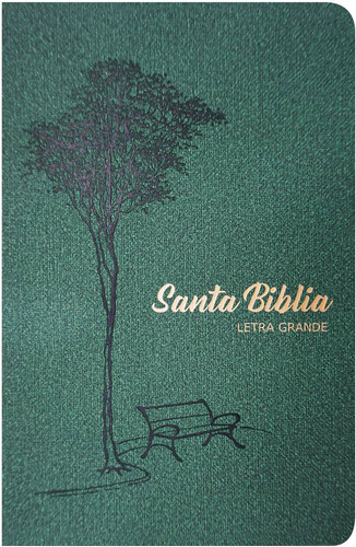Biblia Letra Grande Tapa Blanda Cm Verde Reina Valera 1960