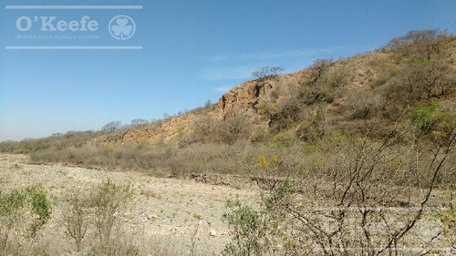 Imagen 6 de 30 de Campo En Venta En Salta - 2000 Has