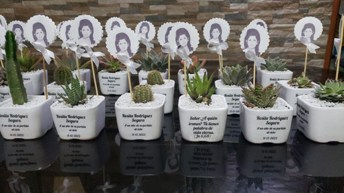 Imagen 4 de 8 de Regalo Suculentas Cactus, Recuerdo Promoción, Matri Misa Año