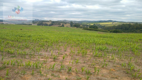 Sítio À Venda Itapetininga - Tatuí/sp - 420