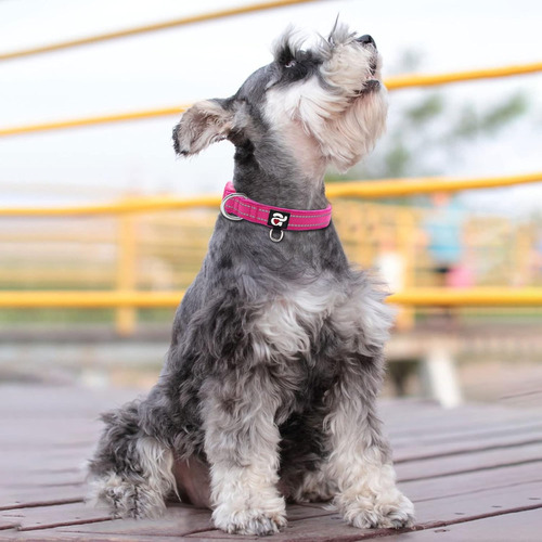 Azuza Collar De Perro Reflectante, Neopreno Suave Acolcha...