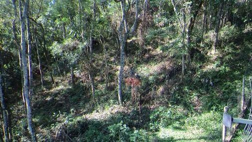 Imagem 1 de 2 de Terreno Residencial À Venda, Cantareira, Mairiporã. - Te0139
