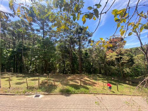 Terreno Em Gonçalves Número 5