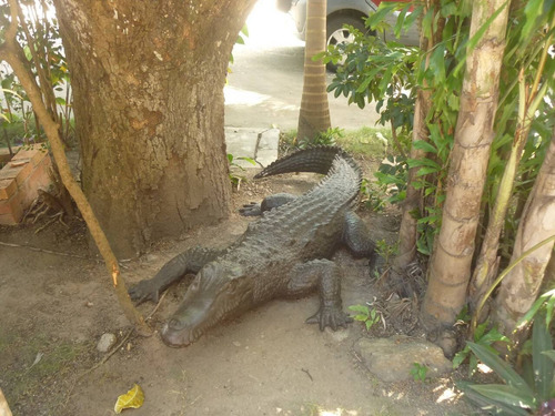 Imagen 8 de 14 de 133154 Anthony M 0424-4338703 Venta Restaurante Naguanagua